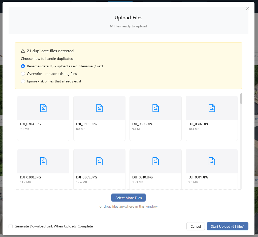 Duplicate files alert